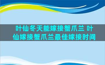 叶仙冬天能嫁接蟹爪兰 叶仙嫁接蟹爪兰最佳嫁接时间